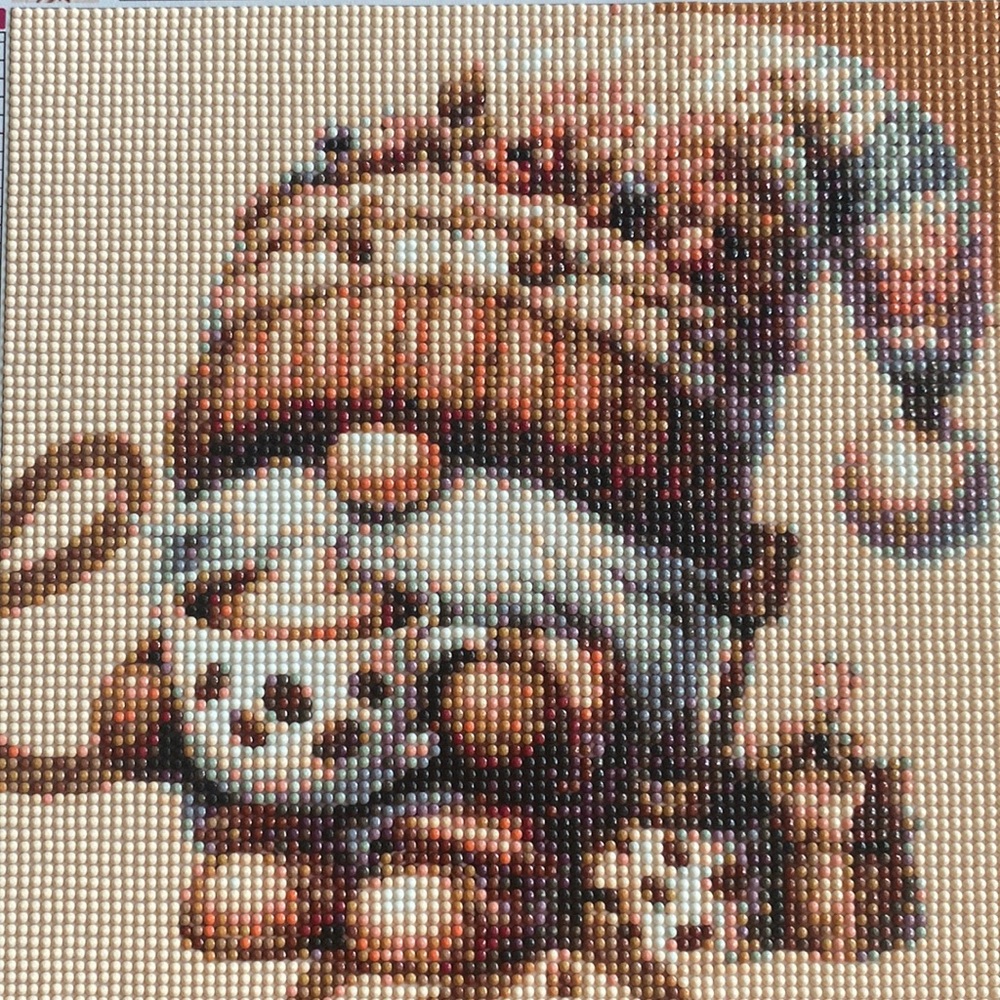 Hot Chocolate Drinking Gnome Diamond Dot Art Picture Painting